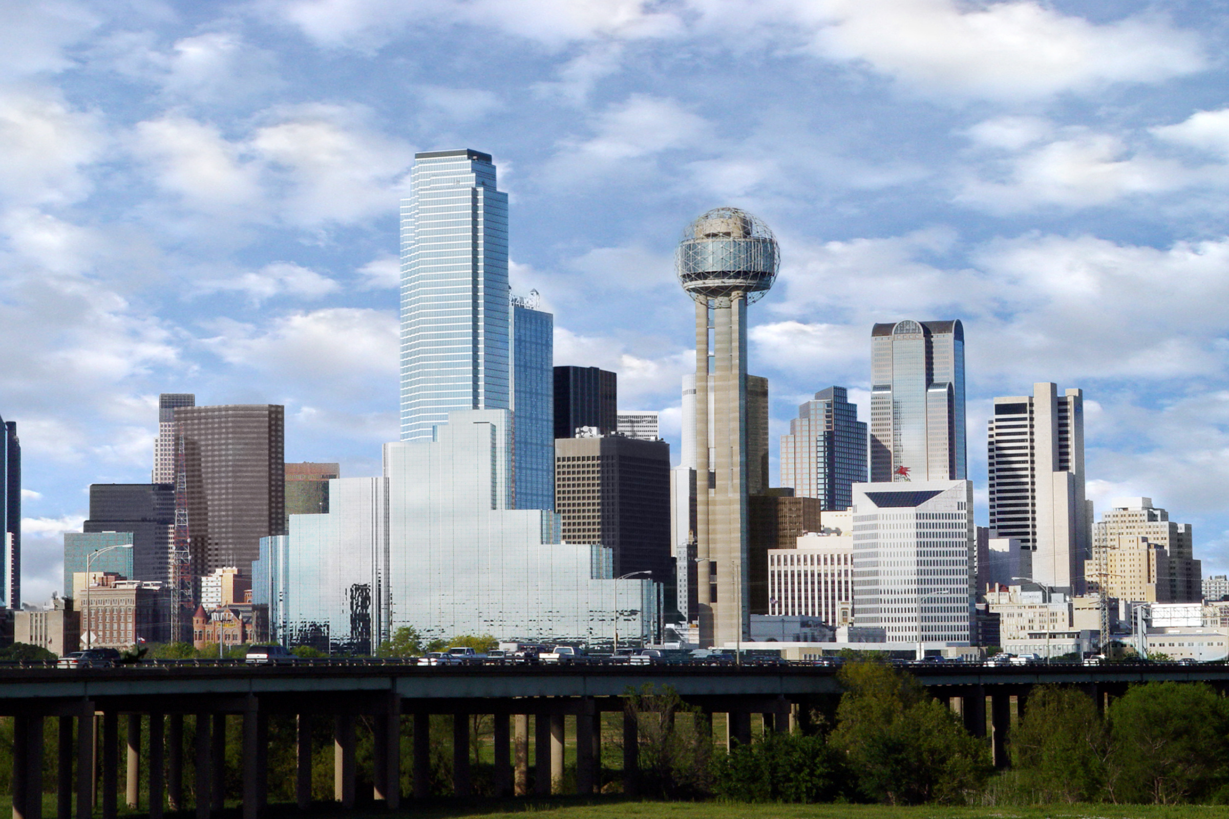 dallas, texas (3).webp